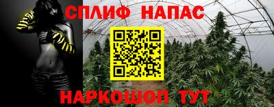 крисы Партизанск