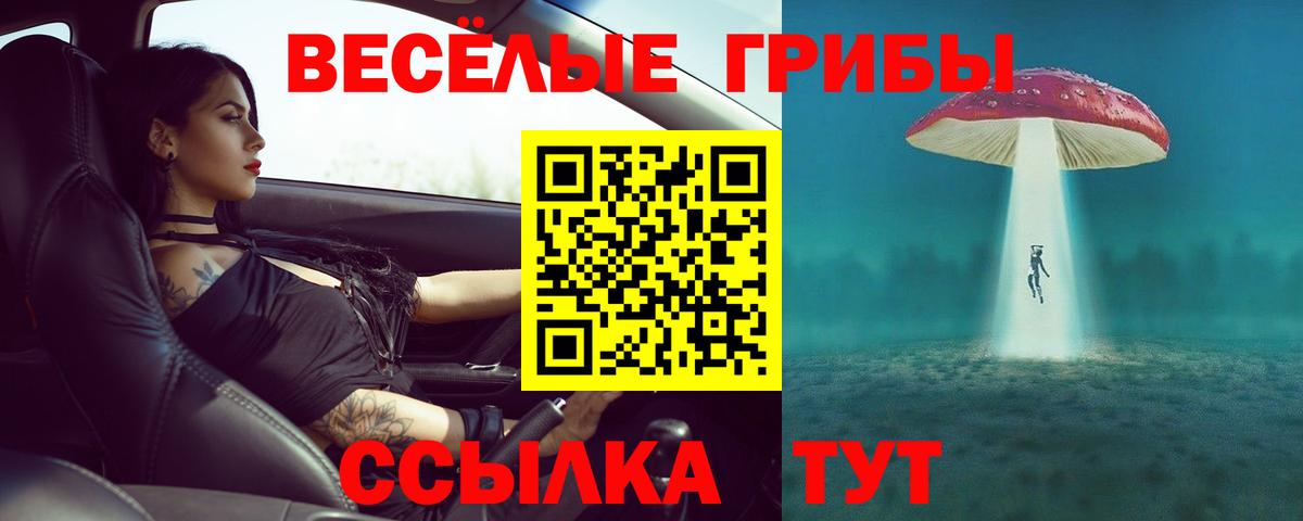 Солнечногорск  Псилоцибиновые грибы прущие грибы  Вход с VPN 